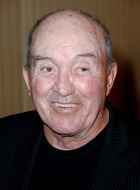 Police Lieutenant Nolan Page (5?episodes, 1986.198