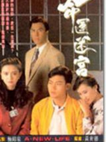 命运迷宫