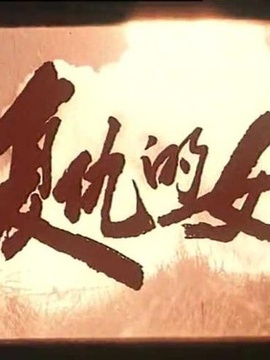 复仇的女人