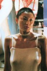 井上晴美