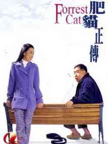 肥猫正传
