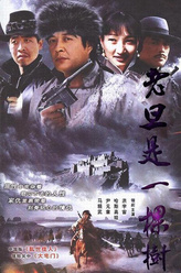 旦旦