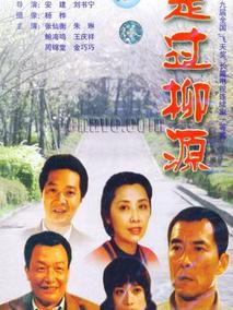 走过柳源