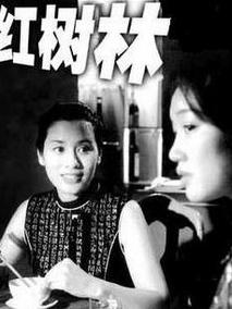 红树林