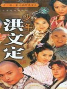 少年英雄之洪文定