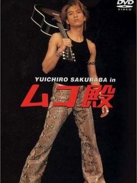 女婿大人