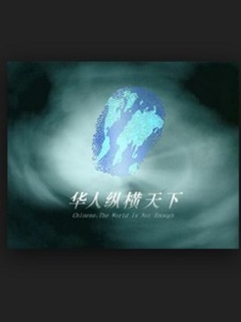 华人纵横天下