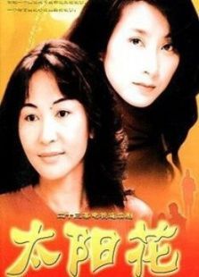太阳花（2002版）