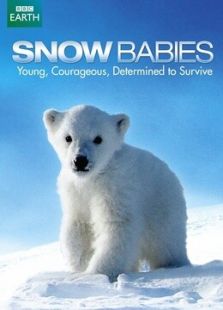 BBC：雪中幼崽