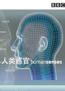 BBC：人类感官