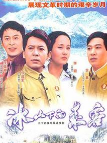 冰山下的来客