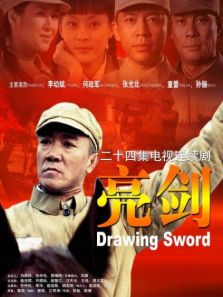 亮剑速看版