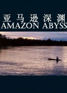BBC：亚马逊深渊