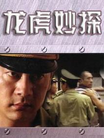 龙虎妙探