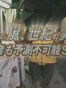 岚的世纪大实验