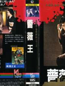 金田一耕助系列[蔷薇王]