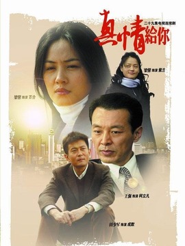 真情给你