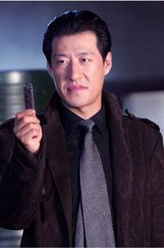 马云飞