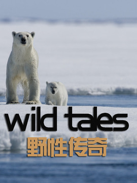 野性传奇