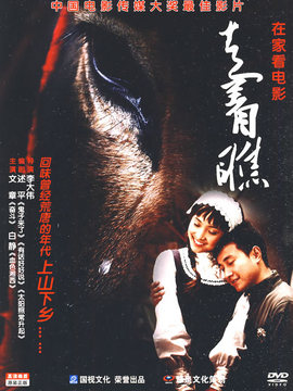走着瞧