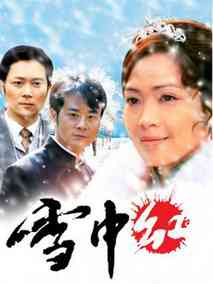 雪中红