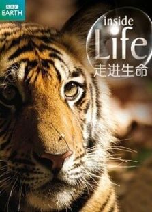 BBC：走进《生命》