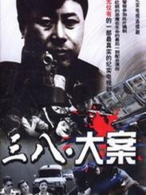 3&middot;8大案
