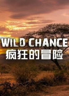 BBC：疯狂的冒险