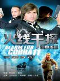 极速特警第十五季