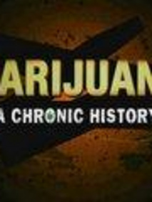 历史频道：大麻简史