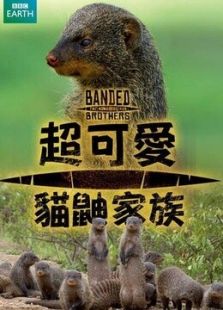 BBC：暴徒猫鼬兄弟