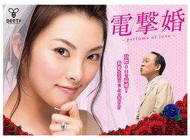 电击婚