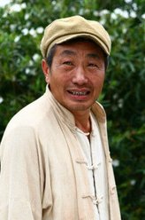 老骡头