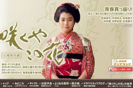绽放的花