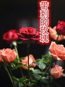 带刺的玫瑰