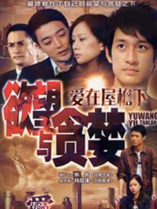 爱（2011）