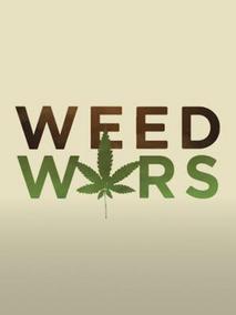 大麻战争
