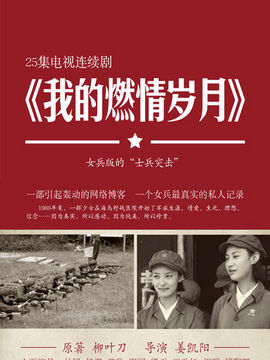 我的燃情岁月