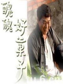 丑丑好果子