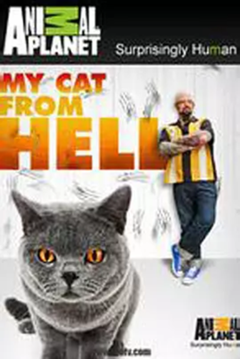 家有恶猫第一季
