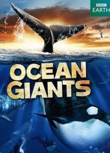 BBC：海洋巨兽