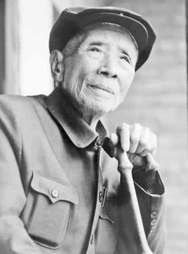 杨善洲