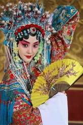 婉菊