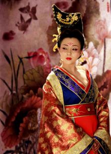 大唐女将樊梨花[TV版]