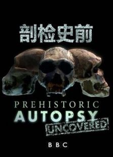 BBC：剖检史前