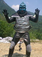白鲨精