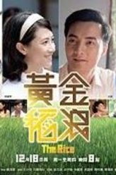 邓志鸿