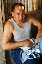 杨树根