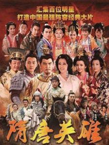 隋唐英雄DVD