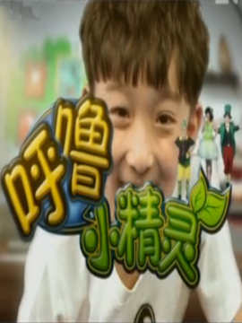 呼噜小精灵